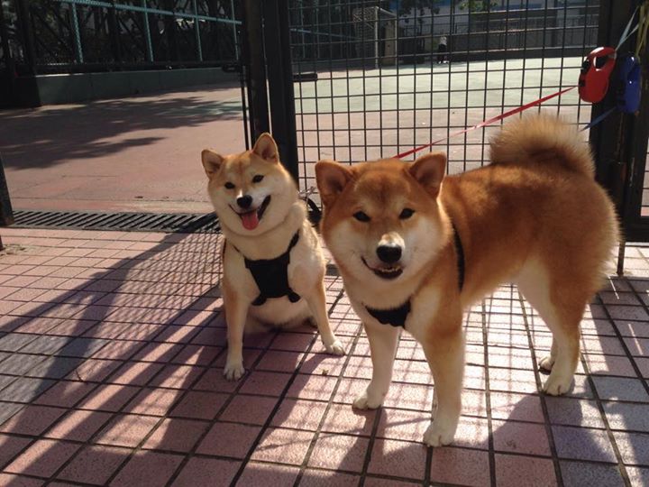 开云体育入口-小国掀翻银河战舰！喀麦隆铁壁让皇马哑火，坎特再现世界级拆解艺术